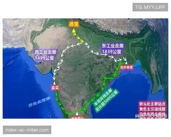 深度:解析CS2在印度市场的爆火趋势及当地基建的影响分析 深度:解析CS2在印度市场的爆火趋势及当地基建的影响分析